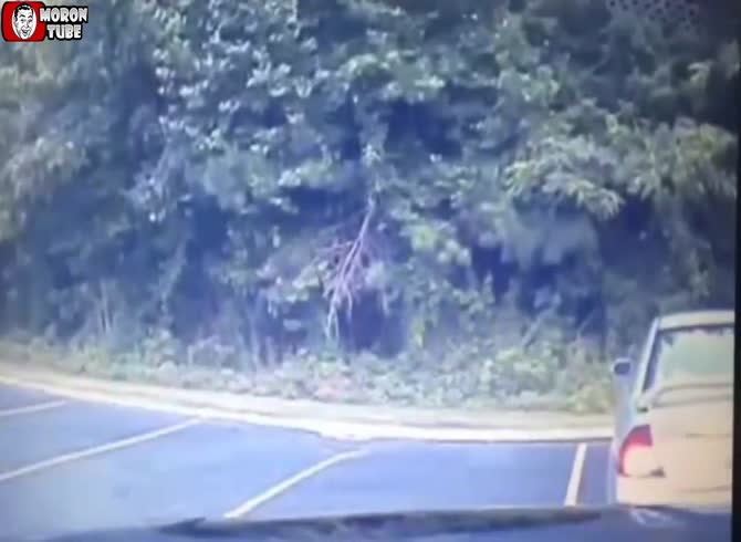 Video :He pays with his life when he disobeys a drug agent's orders